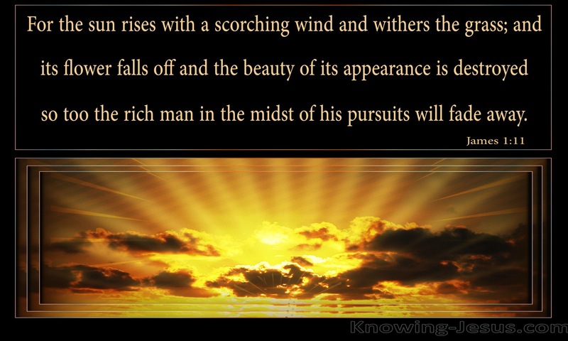 James 1:11 The Rich Man Will Fade Away (gold)